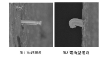 淺談一下焊錫膏焊接后出現錫須是什么原因？